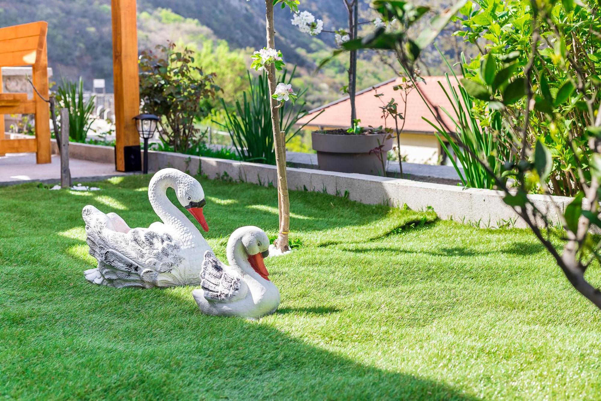 Apartment Petar 1 Kotor Zewnętrze zdjęcie
